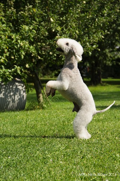 2014-06-06 Cherry & Quincy-8828.jpg